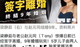 无痕爆料离婚案例最新,揭秘明星夫妻离婚背后的真相与反思